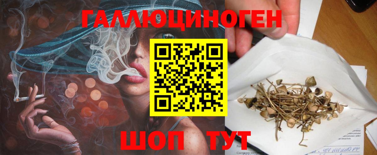 Сергиев Посад  Галлюциногенные грибы ЛСД  Вход с VPN 